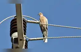 lr.pe