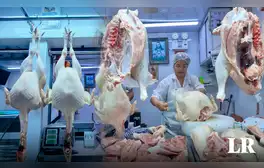 ¡Llegó el pavo!: conoce cuál es el precio de esta ave en los principales mercados de Lima