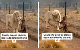 lr.pe