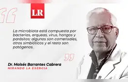 lr.pe