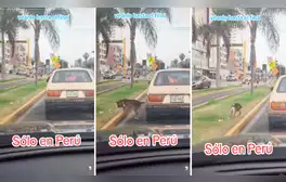 lr.pe