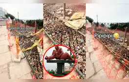 lr.pe