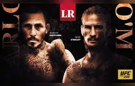 lr.pe