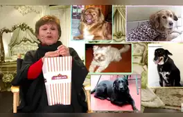 Irma Maury prefirió a sus perros antes que seguir con el elenco de ‘AFHS’, contó Efraín Aguilar