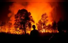 Incendios forestales en Venezuela: NASA muestra la magnitud de los siniestros
