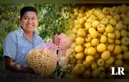 La maravillosa fruta con alta dosis de colágeno: evita el envejecimiento prematuro y desaparece las arrugas