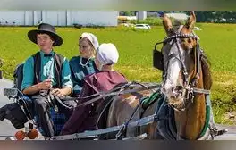 Familia amish paseando en un carruaje con caballos. Foto: CiviatiNY