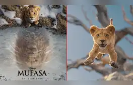 ‘Mufasa: el rey león’: fecha de estreno, tráiler y más sobre el nuevo live action de Disney