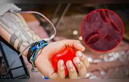 La sangre de tipo O es considerada la sangre universal por los médicos especializados en transfusión de sangre.