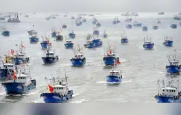 Produce multó solo por S/250 a barco chino que pescó ilegalmente en mar peruano, denuncia gremio
