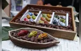 El Salón del Cacao y Chocolate Internacional espera recibir 25.000 visitantes este año
