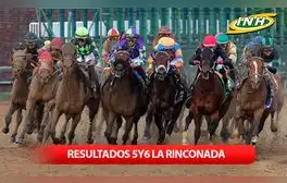 lr.pe