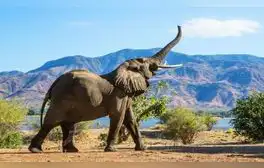 lr.pe