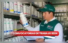 Senasa brinda trabajo a personas con secundaria completa, técnicos y más: sueldos superan los S/5.600