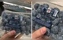 lr.pe