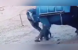 Un hombre de 62 años muere aplastado por elefante en un zoológico en la India