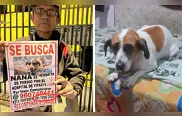 Desde hace 1 año, adulto mayor recorre todas las noches el distrito de ATE buscando a su perrita: conoce su historia