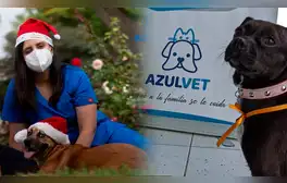 Fue despedida por estar embarazada y hoy es dueña de una de las veterinarias más grandes de Lima: la historia de Azulvet