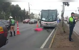 Panamericana sur: un fallecido tras accidente que involucra a bus de turismo