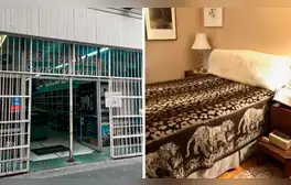 FRAZADAS TIGRE: esta es la única tienda de Lima que vende las originales de Santa Catalina, a precios baratos