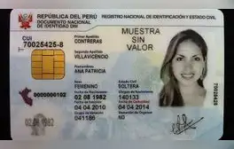 ¿Cuál es la información que almacena el chip del DNI electrónico que emite Reniec?