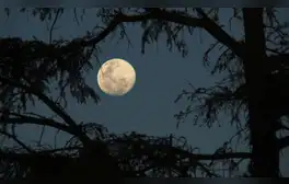 Calendario lunar julio 2024: cuándo ver la luna llena y las otras fases del satélite natural de la Tierra