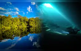 El manantial de agua dulce más grande del mundo está en América: alcanza una profundidad de 56 metros