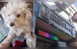 Juliaca: joven denuncia que veterinaria le ofrece S/20 como compensación por perder a su perro
