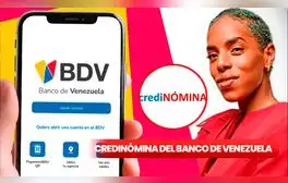 Credinómina de 385 dólares: 5 pasos para obtener al PRÉSTAMO del Banco de Venezuela 2024