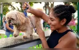 ¡Necesitan tu ayuda! Patatón 2024 busca recolectar 5 toneladas de alimentos para perros y gatos