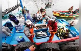 Pescadores artesanales rechazan reglamento de Ley 31749 porque pone en riesgo el mar peruano