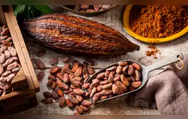 Estudio científico revela el país de América Latina donde se originó el cacao y como se esparció por el mundo