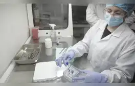 Inauguran Banco Nacional de Tumores: investigaciones con muestras en Perú ya ayudaron a salvar vidas en África