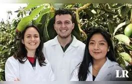 Estudiantes peruanos diseñan fórmula para mejorar cultivos de palta en Ica y destacan en competencia mundial