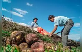 Sector agropecuario creció 5,4% en los primeros cinco meses del año