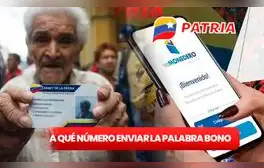 ¿Se ACTIVÓ un número para enviar la palabra BONO al Sistema Patria? Estos son los 3 ÚNICOS contactos HABILITADOS