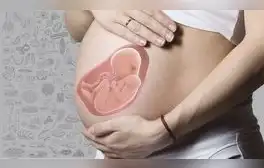Mortalidad materna: más de 200 mujeres embarazadas perdieron la vida en el 2023