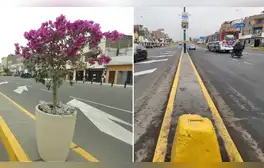 Vecinos de SMP denuncian que Rafael López Aliaga renueva av. Perú, pero luego se llevan las macetas tras ceremonia