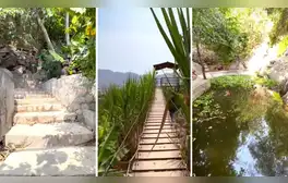 ¿Sabías que uno de los distritos más poblados de Lima tiene una selva escondida?: la entrada cuesta S/6
