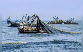 Economía creció 5,04% en mayo impulsada por la pesca