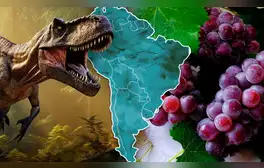 Las uvas aparecieron en 2 países de Sudamérica gracias a la extinción de los dinosaurios, según estudio