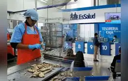 EsSalud brinda un subsidio por incapacidad temporal: conoce los requisitos y cómo acceder si eres asegurado