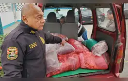 Capturan a comerciantes que pretendían vender 350 kilos de carne de caballo en Puente Piedra