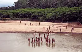 Revelan impactantes imágenes que muestran presencia de madereros en un pueblo indígena no contactado