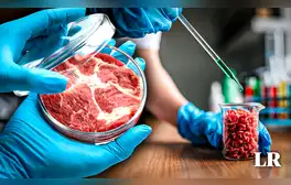 El 'boom' de la carne artificial: ¿cómo la manipulación genética nos ofrecerá alimentarnos con sintéticos?