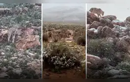 Cae nieve en África: las impresionantes imágenes, videos y la razón detrás del insólito fenómeno