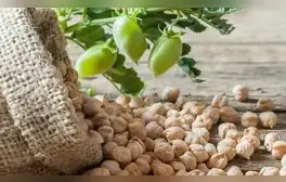 Ni la leche, ni el pescado: este es el alimento que aporta más calcio al cuerpo y ayuda a reducir el colesterol
