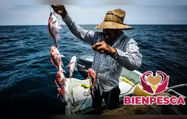 Bienestar 2024: conoce los importantes REQUISITOS para recibir los $7.500 pesos de Bienpesca