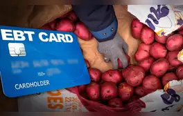 SNAP en Illinois 2024: estas son las FECHAS de pago en agosto del cupón de alimentos en Estados Unidos
