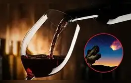 Semillas de uva fósiles en Sudamérica revelan que se bebe vino gracias a la extinción de dinosaurios